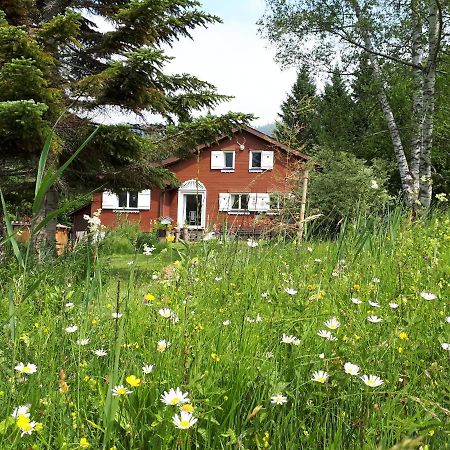 Chalet Chic Вильдхаус Экстерьер фото