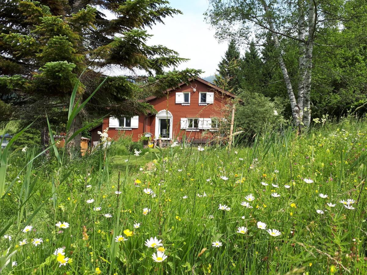 Chalet Chic Вильдхаус Экстерьер фото