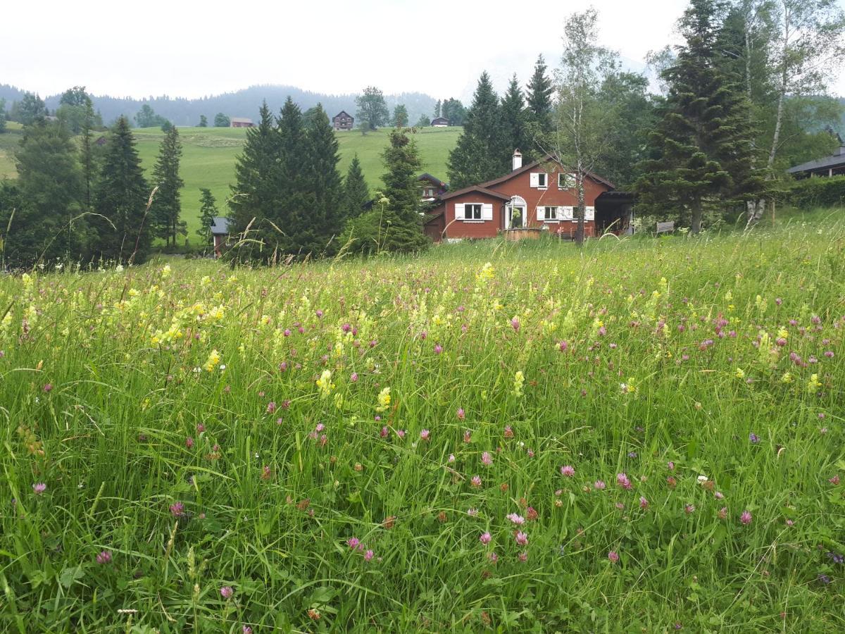 Chalet Chic Вильдхаус Экстерьер фото